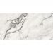 Керамогранит Atlas Concorde (Атлас Конкорд) Forte Dei Marmi Quark Oyster White Rett Cer 60x120 см