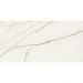 Керамогранит Atlas Concorde (Атлас Конкорд) Forte Dei Marmi Quark Sahara Blanc Rett Cer 60x120 см
