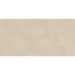 Керамогранит Atlas Concorde (Атлас Конкорд) Rinascente Resin Cream 60x120 см