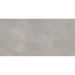 Керамогранит Ceradim (Керадим) Concrete Courage Grey серый 60х120 см матовый