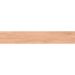 Керамогранит Itc Ceramica (Итк Керамика) Ariana Wood Brown Matt 20x120 см