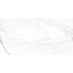 Керамогранит Geotiles Artemisa Blanco 60x120 см Polished