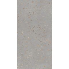 Керамогранит Tau Ceramica Ceppo Di Gre Silver Nat. 60х120 см, ппп00065321
