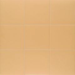 Керамогранит Mainzu (Маинзу) Technical Tangerine 20х20 см