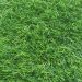 Искусственная трава Prettie Grass (Прэти Грас) Деко 35 мм 2 м