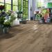 Ламинат Kronotex (Кронотекс) Exquisit Plus 8/32 Дуб Кашмир коричневый (Kashmir oak brown), D6019
