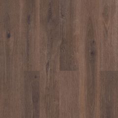 Ламинат Kronostar Synonym 8/33 Дуб Гайс (Oak Guys), D50457