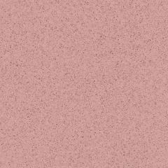 Коммерческий гомогенный линолеум Tarkett (Таркетт) Primo Plus 307, 2 м