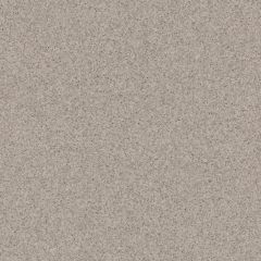 Коммерческий гомогенный линолеум Tarkett (Таркетт) Primo Plus 313, 2 м