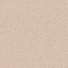 Коммерческий гомогенный линолеум Tarkett (Таркетт) Primo Plus Depot 301, 2 м