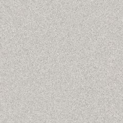 Коммерческий гомогенный линолеум Tarkett (Таркетт) Primo Plus Depot 316, 2 м