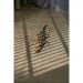 Виниловый SPC ламинат Steinholz (Штайнхольц) Herringbone 4,5/43 Танне (Tanne) , STH039Н