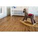 Виниловый SPC ламинат Alpine Floor (Альпин Флор) Classic Light 3.5/34 Дуб классический (Oak Classic), ECO 162-77 MC