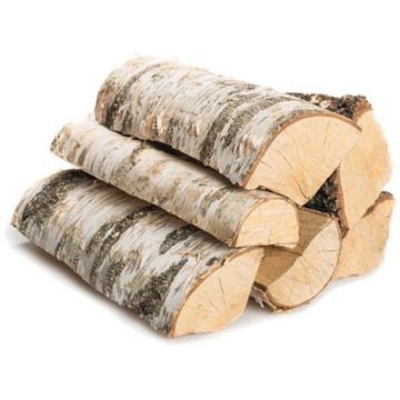 Дрова береза колотая 0,9 м3