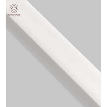 Декоративная панель Alpine Walls (Альпин Валлс) LineArt Белый под покраску 2900х30х20 мм, ECO502W