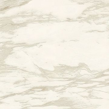 Обои виниловые на флизелине Roberto Cavalli (Роберто Кавалли) 9 10.05х1.06 м, RC21022