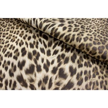 Обои виниловые на флизелине Roberto Cavalli (Роберто Кавалли) 9 10.05х1.06 м, RC21041