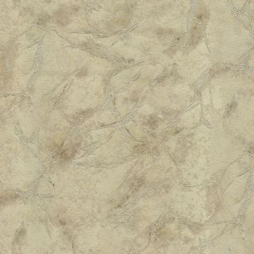 Обои виниловые на флизелине Emiliana Parati (Емилиана Парати) Blumarine 5 10,05х1,06 м, BM29055