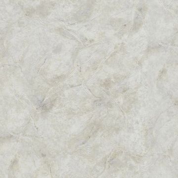 Обои виниловые на флизелине Emiliana Parati (Емилиана Парати) Blumarine 5 10,05х1,06 м, BM29061