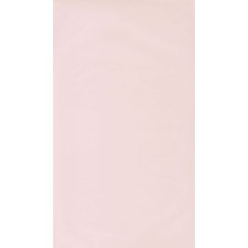 Обои виниловые на флизелине Cascadeo Rose & Nino Cad 10.05х0.53 м 69861001