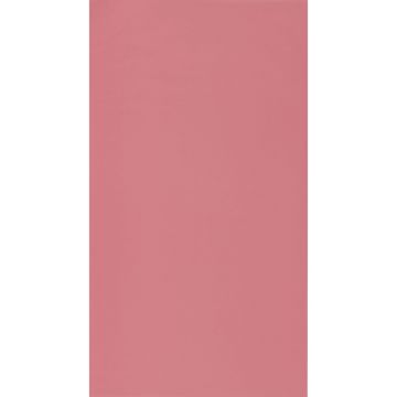 Обои виниловые на флизелине Cascadeo Rose & Nino Cad 10.05х0.53 м 69864600