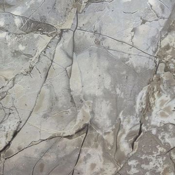 Обои виниловые на флизелине Prisma (Призма) La Storia 3 10.05х1.06 м, MS12815