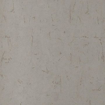 Обои виниловые Andrea Rossi Berggi 10.05х1.06 м 54442-3