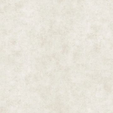 Обои виниловые на флизелине Alessandro Allori (Алесандро Алори) Argiano 10х1.06 м, 15029-6