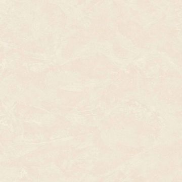 Обои виниловые на флизелине Zambaiti parati (Замбаити Парати) Philipp Plein 2 10.05х0.7 м, Z81011