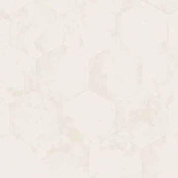 Обои виниловые на флизелине Zambaiti parati (Замбаити Парати) Philipp Plein 2 10.05х0.7 м, Z81026