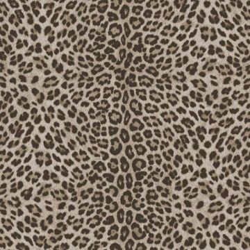 Обои виниловые на флизелине Zambaiti parati (Замбаити Парати) Philipp Plein 2 10.05х0.7 м, Z81028