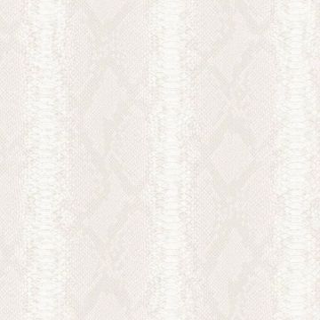 Обои виниловые на флизелине Zambaiti parati (Замбаити Парати) Philipp Plein 2 10.05х0.7 м, Z81033