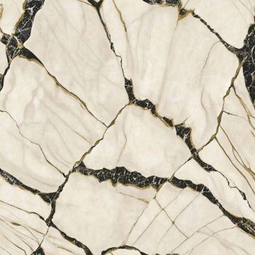 Обои виниловые на флизелине Zambaiti parati (Замбаити Парати) Philipp Plein 2 10.05х0.7 м, Z81038