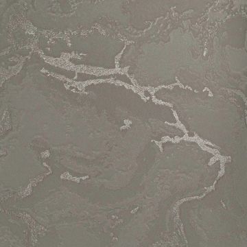 Обои виниловые на флизелине Обои Bernardo Bartalucci (Бернардо Барталучи) Gaga 84282-1