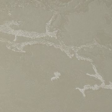 Обои виниловые на флизелине Обои Bernardo Bartalucci (Бернардо Барталучи) Gaga 84282-3