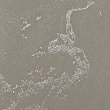 Обои виниловые на флизелине Обои Bernardo Bartalucci (Бернардо Барталучи) Gaga 84282-9