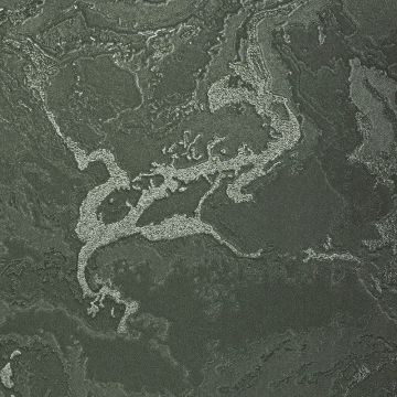 Обои виниловые на флизелине Обои Bernardo Bartalucci (Бернардо Барталучи) Gaga 84282-29