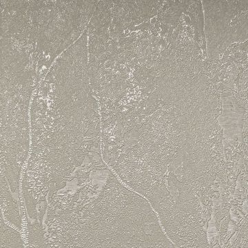 Обои виниловые на флизелине Обои Bernardo Bartalucci (Бернардо Барталучи) Gaga 84284-3