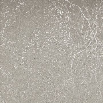 Обои виниловые на флизелине Обои Bernardo Bartalucci (Бернардо Барталучи) Gaga 84284-4