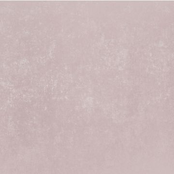 Обои виниловые на флизелине Bernardo Bartalucci (Бернардо Барталучи) Bigi Plus 5089-10