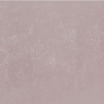 Обои виниловые на флизелине Bernardo Bartalucci (Бернардо Барталучи) Bigi Plus 5089-11