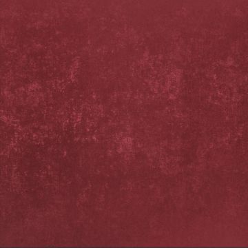 Обои виниловые на флизелине Bernardo Bartalucci (Бернардо Барталучи) Bigi Plus 5089-12