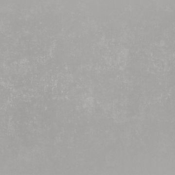 Обои виниловые на флизелине Bernardo Bartalucci (Бернардо Барталучи) Bigi Plus 5089-14