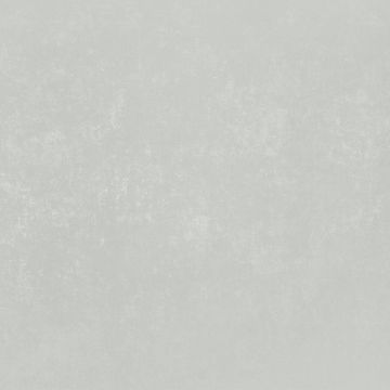 Обои виниловые на флизелине Bernardo Bartalucci (Бернардо Барталучи) Bigi Plus 5089-16