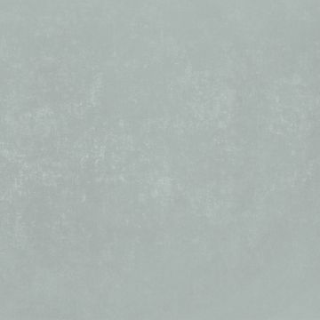 Обои виниловые на флизелине Bernardo Bartalucci (Бернардо Барталучи) Bigi Plus 5089-18