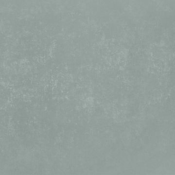 Обои виниловые на флизелине Bernardo Bartalucci (Бернардо Барталучи) Bigi Plus 5089-19