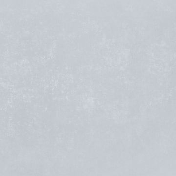 Обои виниловые на флизелине Bernardo Bartalucci (Бернардо Барталучи) Bigi Plus 5089-20