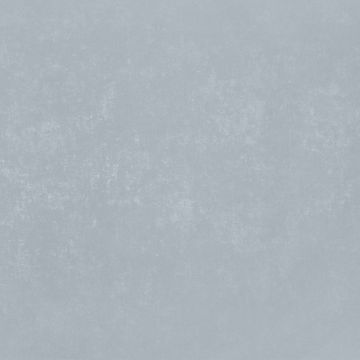 Обои виниловые на флизелине Bernardo Bartalucci (Бернардо Барталучи) Bigi Plus 5089-21