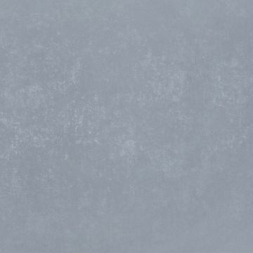 Обои виниловые на флизелине Bernardo Bartalucci (Бернардо Барталучи) Bigi Plus 5089-22