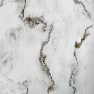 Обои виниловые на флизелине Bernardo Bartalucci (Бернардо Барталучи) Bigi Plus 5093-1